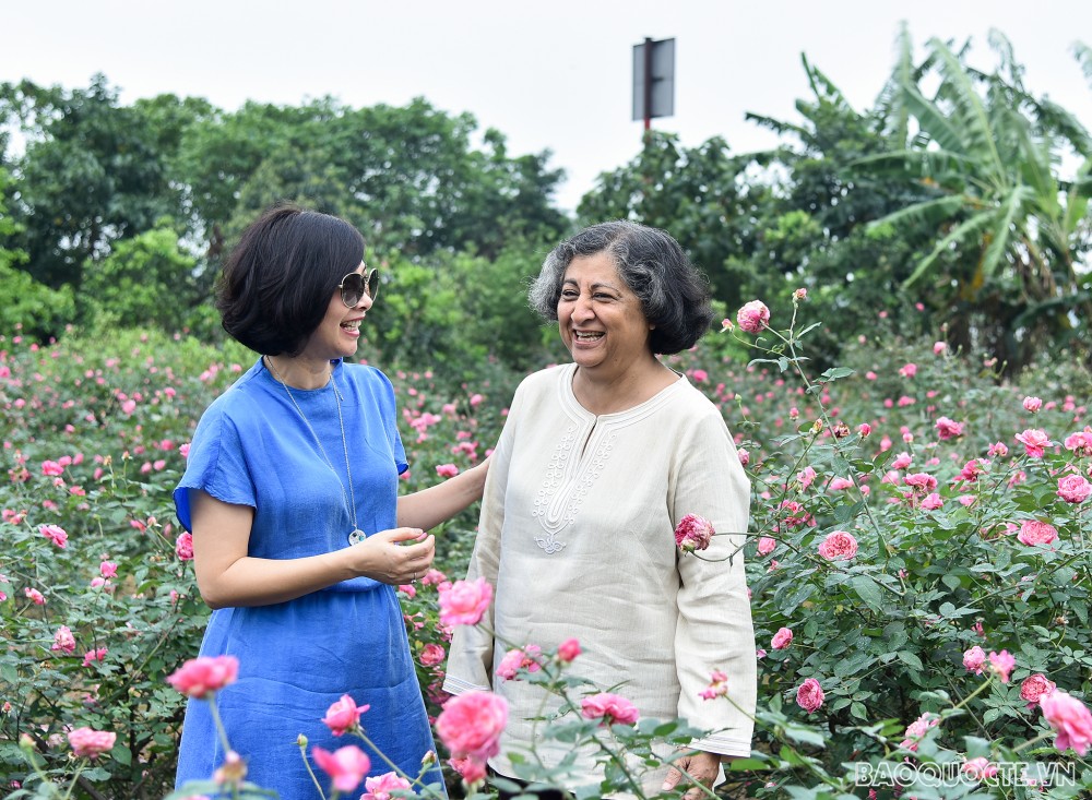 Nhóm Phụ nữ Cộng đồng ASEAN tại Hà Nội hái hoa trổ tài làm nước hoa hồng