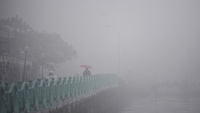 Dự báo thời tiết cuối tuần: Bắc Bộ có sương mù, mưa phùn về sáng và đêm