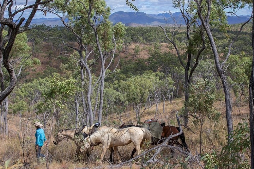 hanh trinh vuot 5000km tai australia cua co gai xinh dep nguoi phap