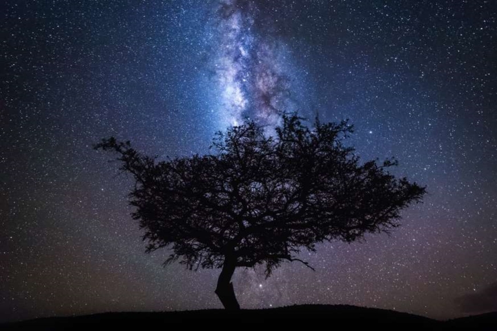 Lạc giữa Ngân Hà qua những bức ảnh trời đêm đẹp “nghẹt thở” lac giua ngan ha qua nhung buc anh troi dem dep nghet tho