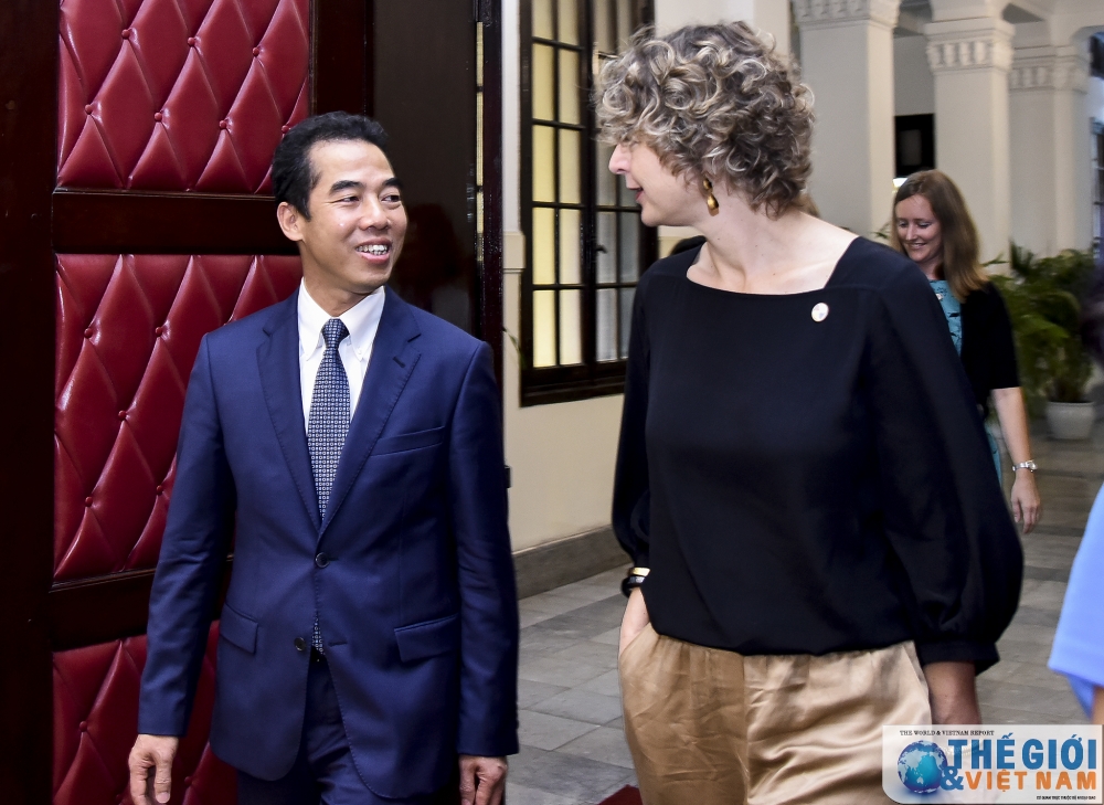 viet nam ha lan ky hiep dinh than nhan thanh vien cqdd co quan lanh su lam viec co thu nhap