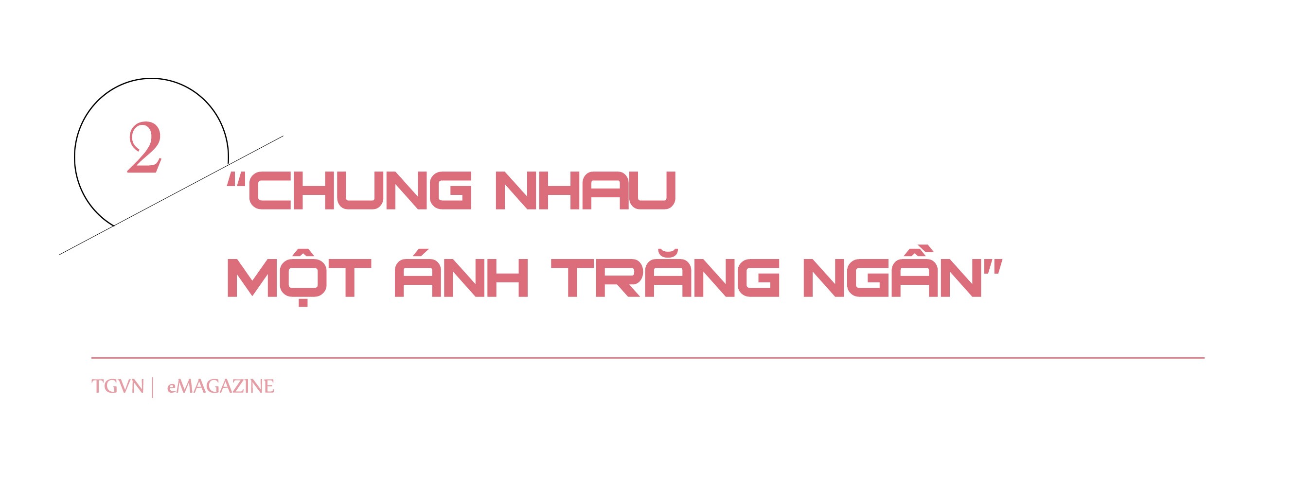 Chuyện tình của những người làm cách mạng và bông hoa tặng vợ của ông Nguyễn Cơ Thạch