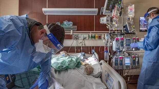 moi lien he giua gioi tinh voi kha nang phuc hoi covid19