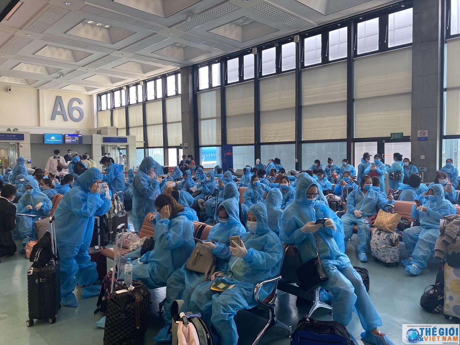 dich covid 19 dua hon 340 cong dan viet nam tu dai loan trung quoc ve nuoc