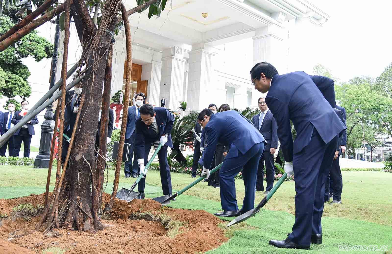 Lễ đón chính thức Thủ tướng Nhật Bản Kishida Fumio tại Phủ Chủ tịch Lễ đón chính thức Thủ tướng Nhật Bản Kishida Fumio tại Phủ Chủ tịch