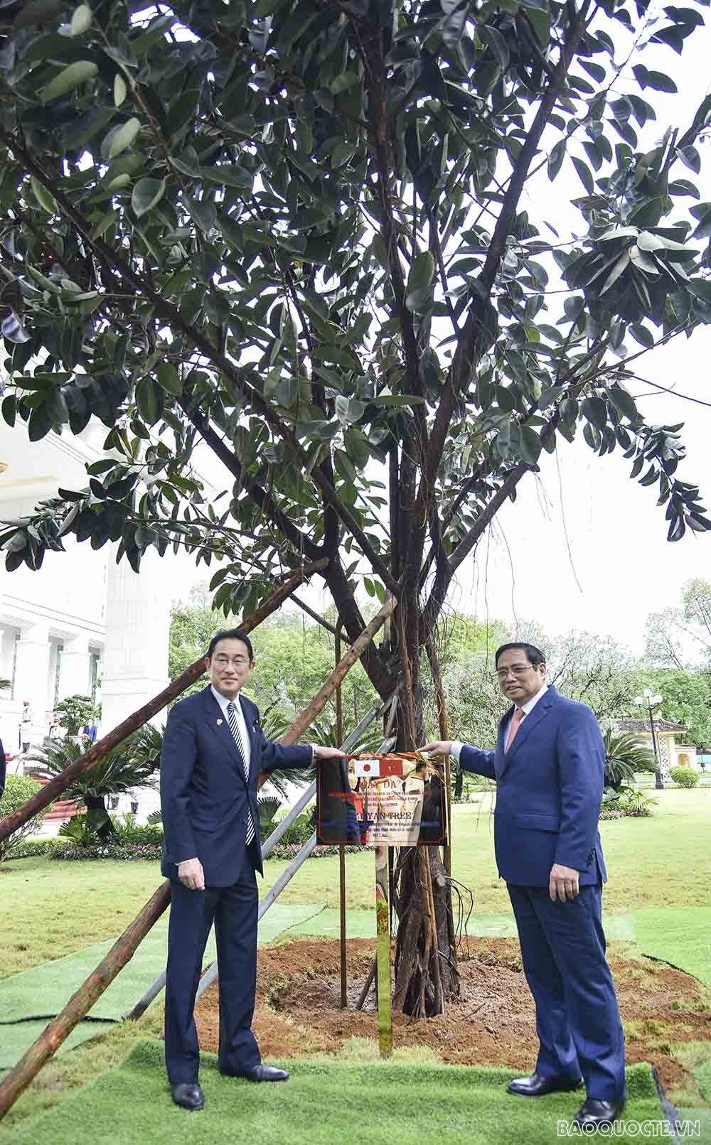 Lễ đón chính thức Thủ tướng Nhật Bản Kishida Fumio tại Phủ Chủ tịch Lễ đón chính thức Thủ tướng Nhật Bản Kishida Fumio tại Phủ Chủ tịch