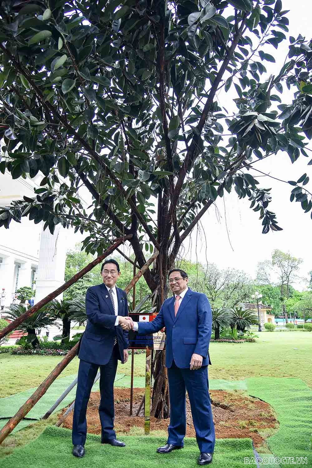 Lễ đón chính thức Thủ tướng Nhật Bản Kishida Fumio tại Phủ Chủ tịch Lễ đón chính thức Thủ tướng Nhật Bản Kishida Fumio tại Phủ Chủ tịch