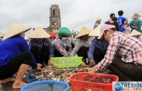 nguoi viet tai nga to chuc dem nha c tu thien tra i tim cho em