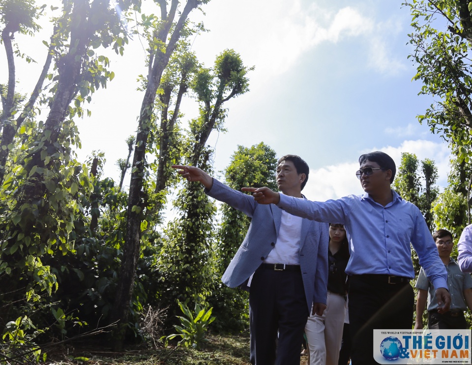 dai su han quoc tai viet nam di thuc dia tai cu mgar dak lak