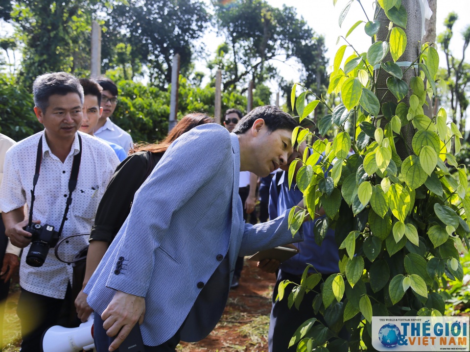 dai su han quoc tai viet nam di thuc dia tai cu mgar dak lak