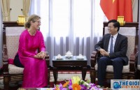 infographics viet nam lien hop quoc dien hinh ve hop tac phat trien