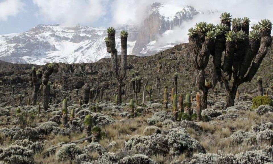 cac nuoc nhiet doi bi de doa nhieu nhat tu moi truong