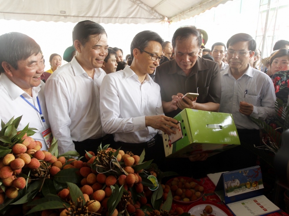 tung bung le hoi vai thieu thanh ha 2018