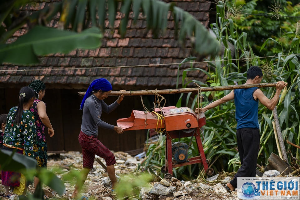 tung nun con lu di qua chi con lai noi dau