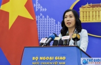 Việt Nam có những bước đi cụ thể ngăn chặn hành vi gian lận thương mại