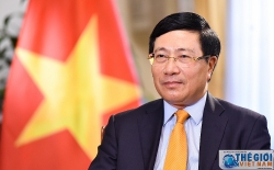 Thư chúc mừng 75 năm thành lập ngành Ngoại giao của Phó Thủ tướng, Bộ trưởng Phạm Bình Minh