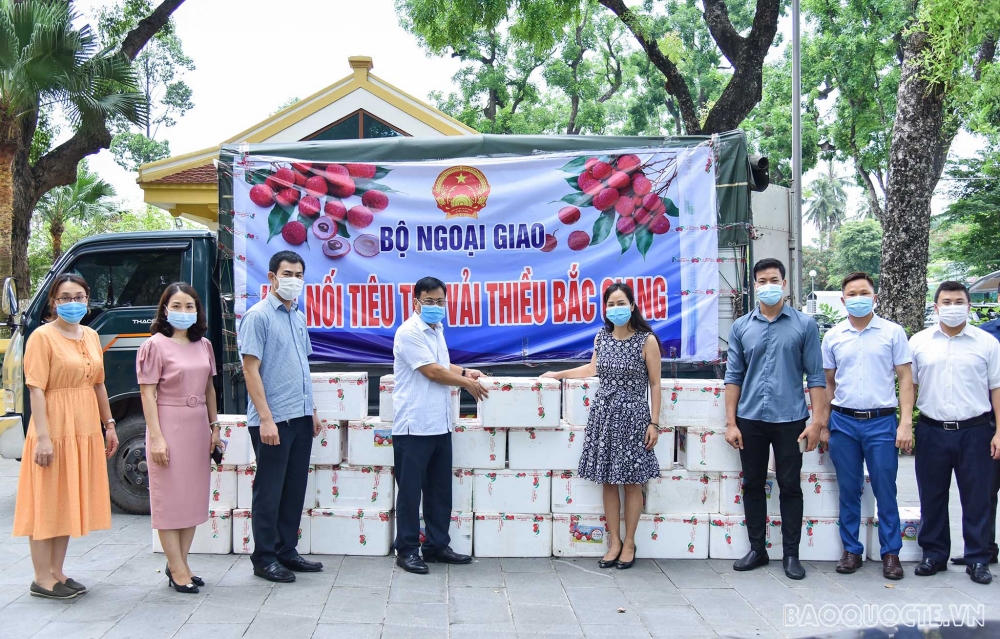 Bộ Ngoại giao hỗ trợ tiêu thụ vải thiều Bắc Giang
