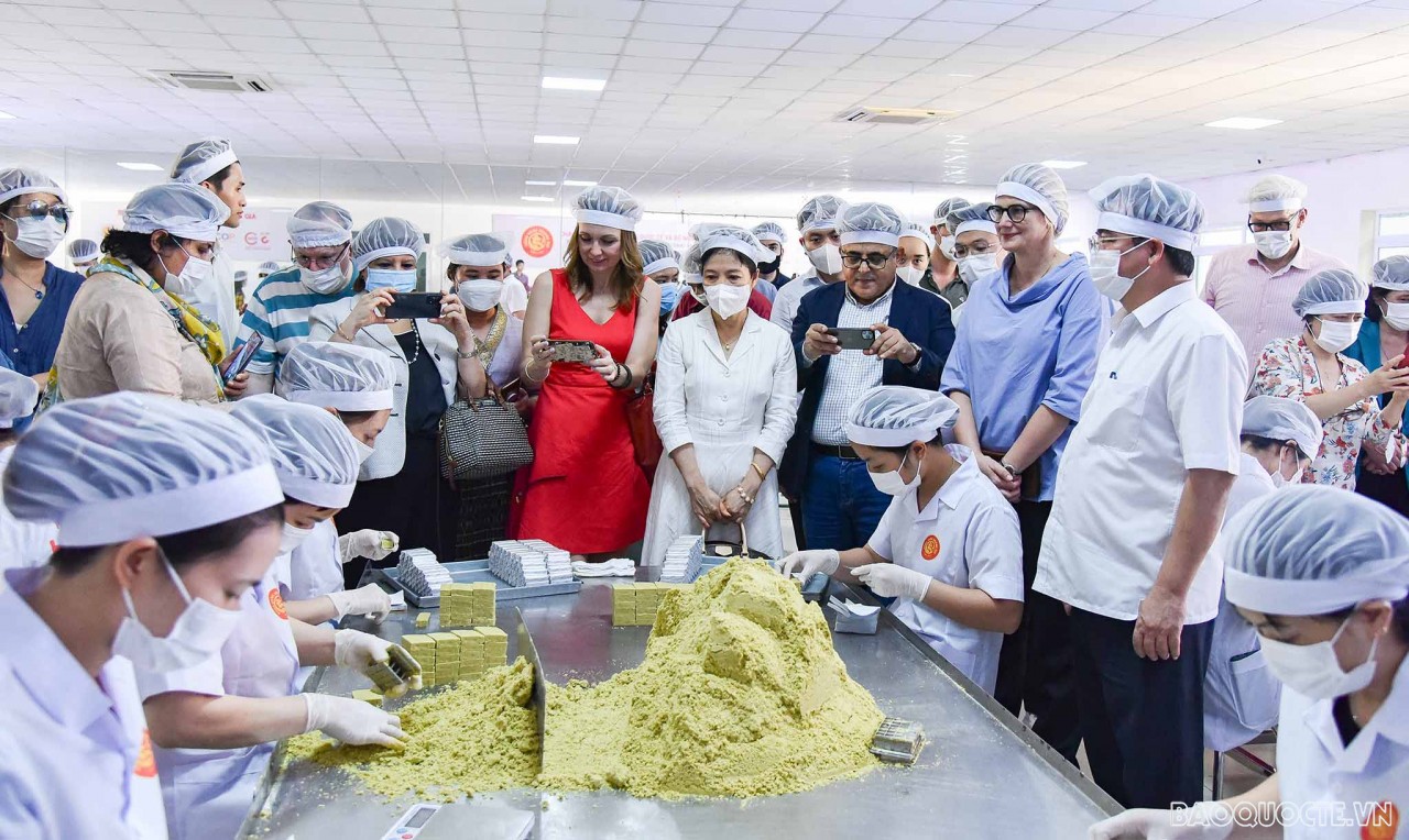 Bè bạn quốc tế tham quan cây vải tổ, trải nghiệm hái vải và làm bánh đậu xanh tại Hải Dương