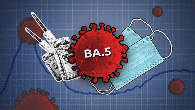 Biến thể Omicron BA.5 đã xâm nhập vào Việt Nam nguy hiểm như thế nào?. (Nguồn: Reuters)