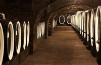 xuat khau ruou vang australia khoi sac sau mot thap ky