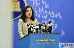 Phản ứng của Việt Nam về các vấn đề Biển Đông hiện nay