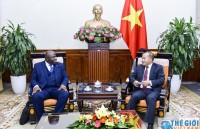 Việt Nam - Sierra Leone  tăng cường đầu tư mỗi nước