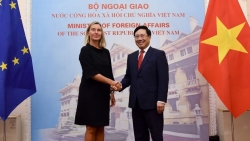 Phó Thủ tướng Phạm Bình Minh đón, hội đàm với Đại diện cấp cao EU Federica Mogherini