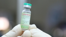 Ngày mai, vaccine Covivac bắt đầu thử nghiệm giai đoạn 2