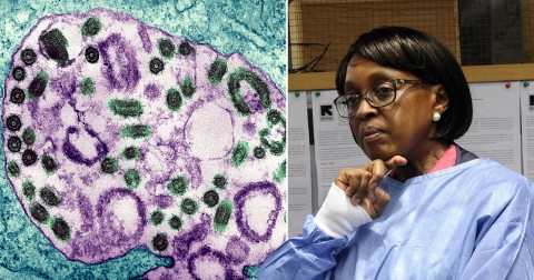 WHO khuyến cáo loại virus gây chết người xuất hiện trở lại. Ảnh: Getty / Shutterstock) WHO khuyến cáo loại virus gây chết người xuất hiện trở lại. Ảnh: Getty / Shutterstock)