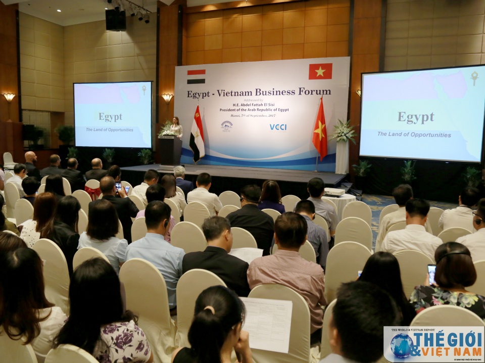 viet nam ai cap buc tranh moi trong thuong mai dau tu