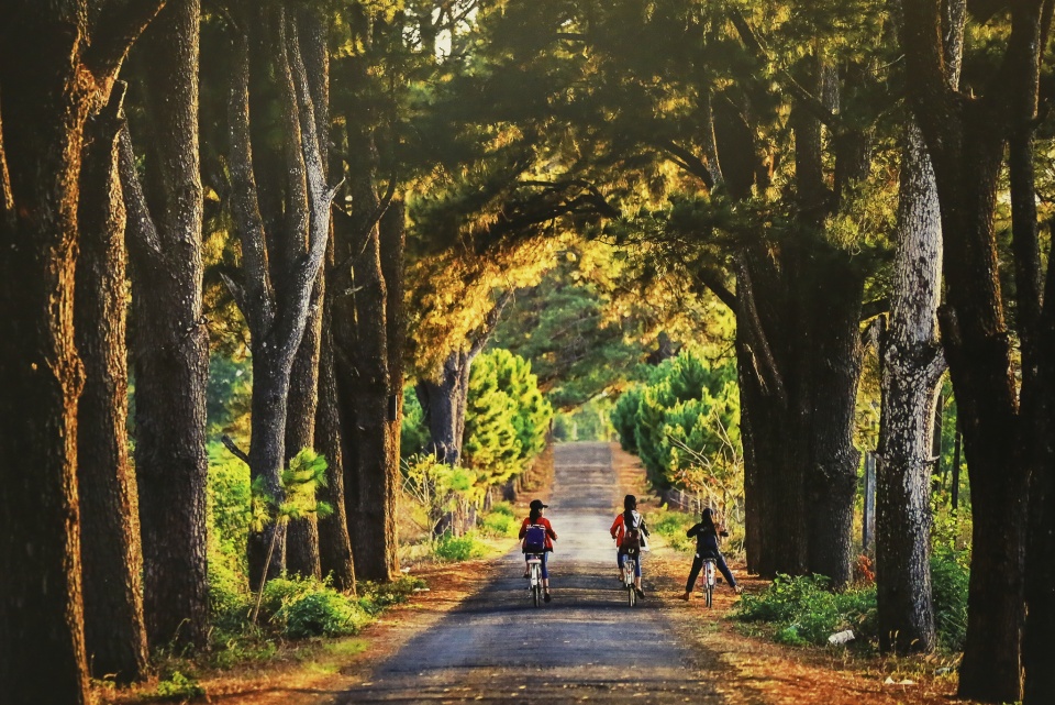 sac mau cuoc song qua anh cuu hoc sinh ha noi