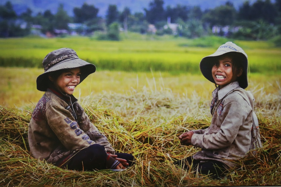 sac mau cuoc song qua anh cuu hoc sinh ha noi