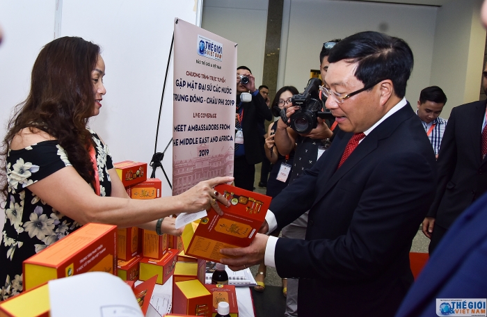 truc tuyen pho thu tuong pham binh minh phat bieu chi dao hoi nghi gap mat dai su cac nuoc trung dong chau phi 2019