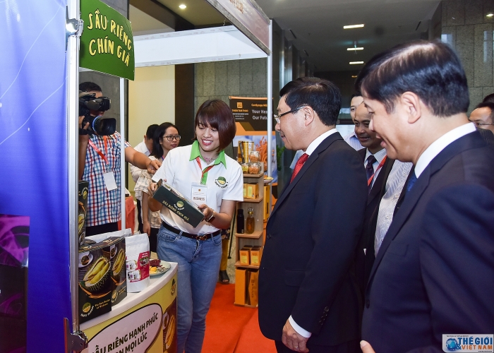 truc tuyen pho thu tuong pham binh minh phat bieu chi dao hoi nghi gap mat dai su cac nuoc trung dong chau phi 2019