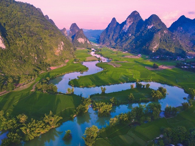 Cánh đồng lúa ở Phong Nậm, gần nơi Quốc ở 2 tháng nay.