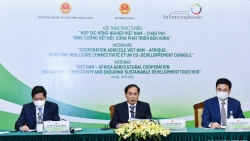 Đẩy mạnh khai phá tiềm năng hợp tác nông nghiệp Việt Nam-châu Phi