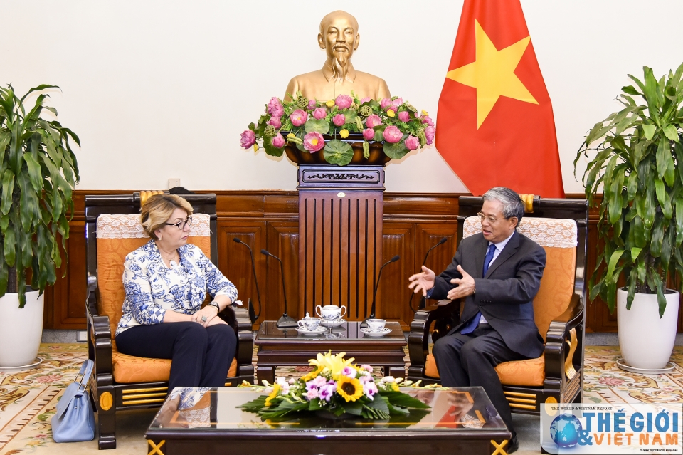 tang cuong hop tac van hoa viet nam nga