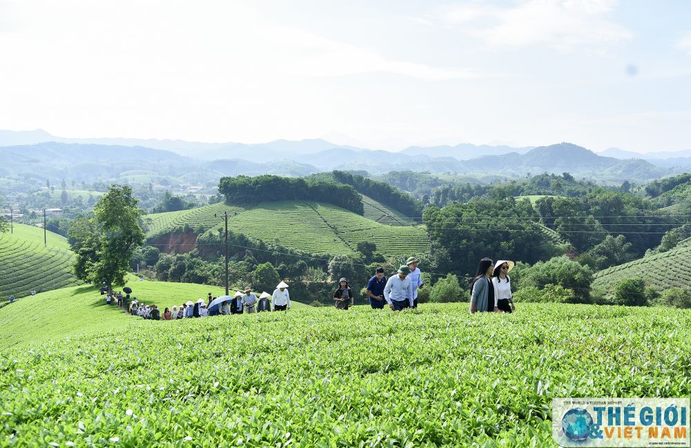 Phóng viên báo chí nước ngoài trải nghiệm hát Xoan, thăm đền Hùng và đồi chè Phú Thọ phong vien bao chi nuoc ngoai hat xoan tham doi che phu tho