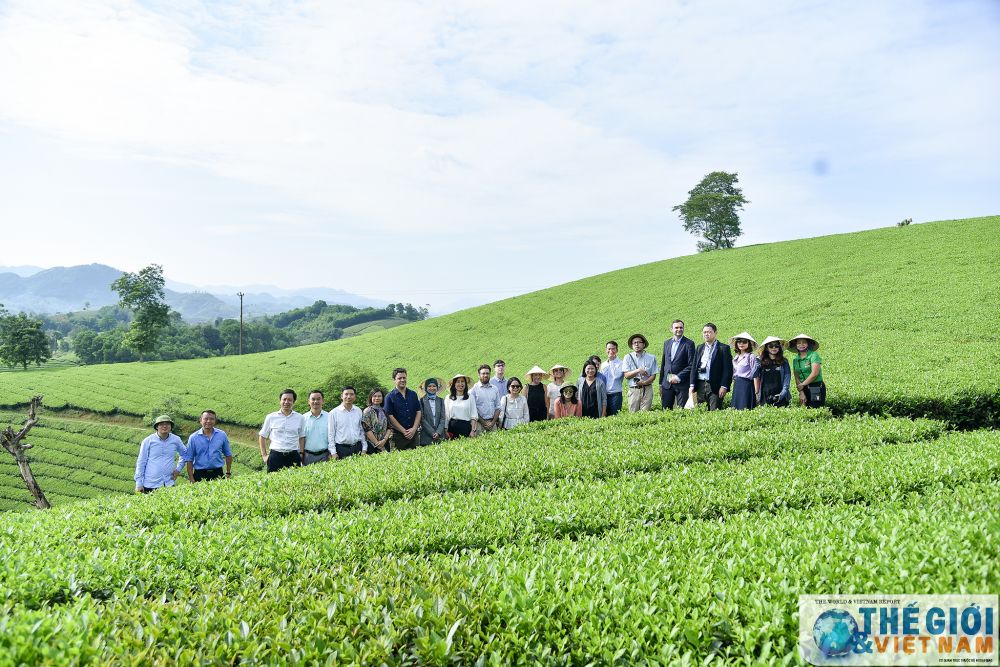 Phóng viên báo chí nước ngoài trải nghiệm hát Xoan, thăm đền Hùng và đồi chè Phú Thọ phong vien bao chi nuoc ngoai hat xoan tham doi che phu tho