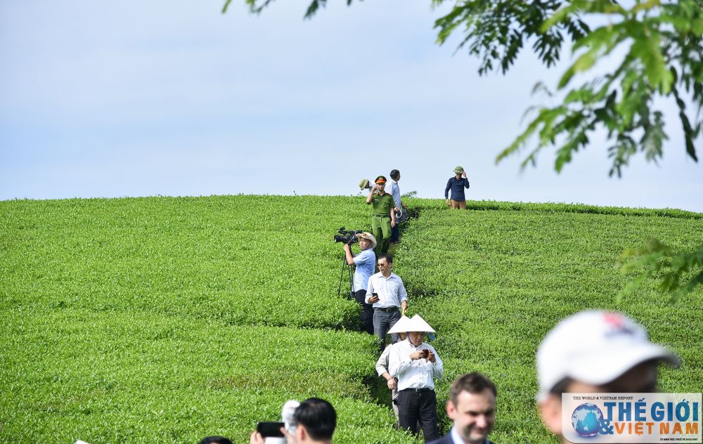 Phóng viên báo chí nước ngoài trải nghiệm hát Xoan, thăm đền Hùng và đồi chè Phú Thọ phong vien bao chi nuoc ngoai hat xoan tham doi che phu tho