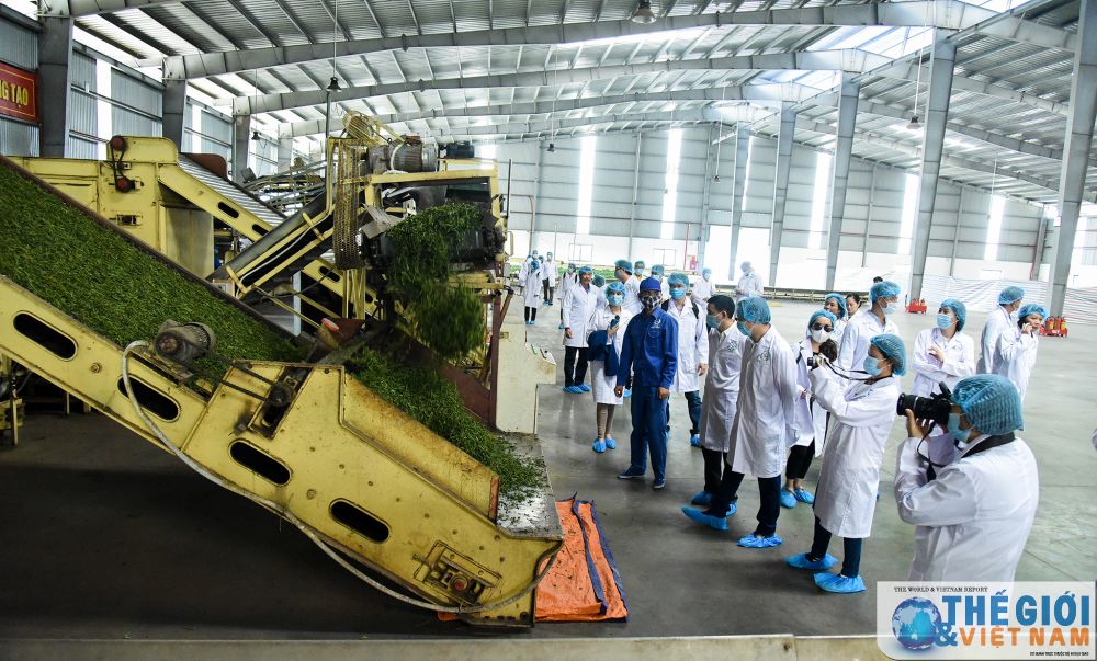 Phóng viên báo chí nước ngoài trải nghiệm hát Xoan, thăm đền Hùng và đồi chè Phú Thọ phong vien bao chi nuoc ngoai hat xoan tham doi che phu tho