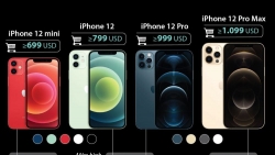 Infographics: Điểm nổi bật về dòng iPhone 12 của Apple