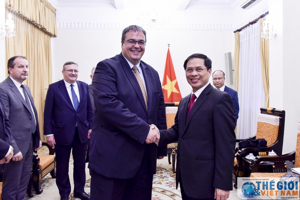 thu truong bui thanh son tiep quoc vu khanh hungary