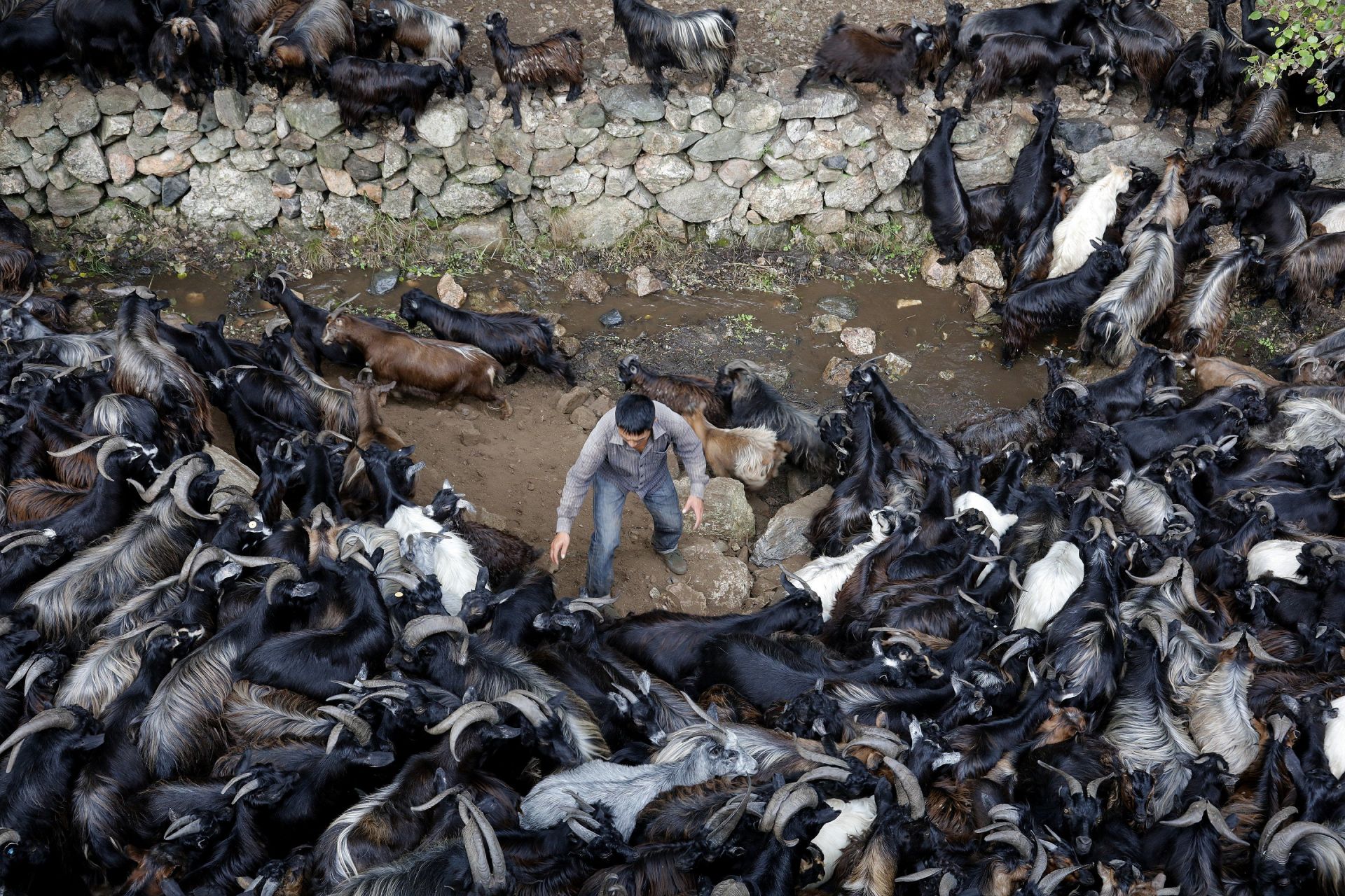 ngoi lang co hon 1200 tuoi o trung quoc chi co 13 nguoi song