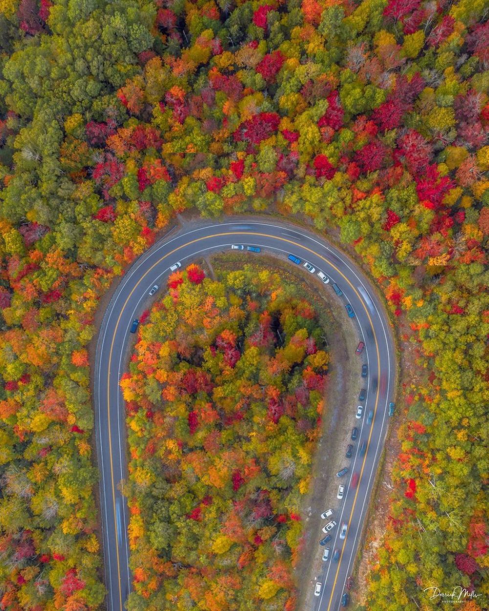 ngam cung duong cao toc phu kin rung cay la do tuyet dep o my