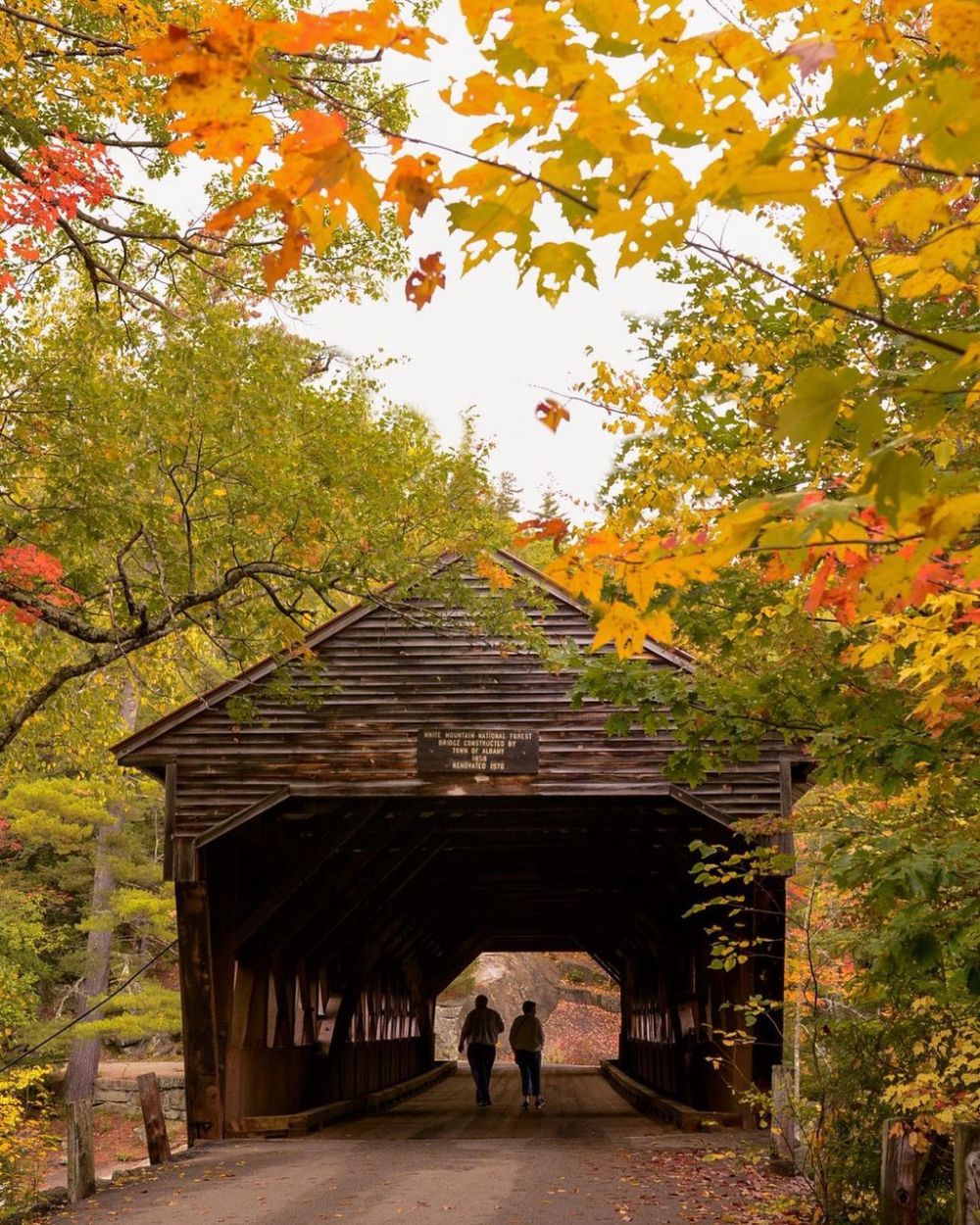 ngam cung duong cao toc phu kin rung cay la do tuyet dep o my