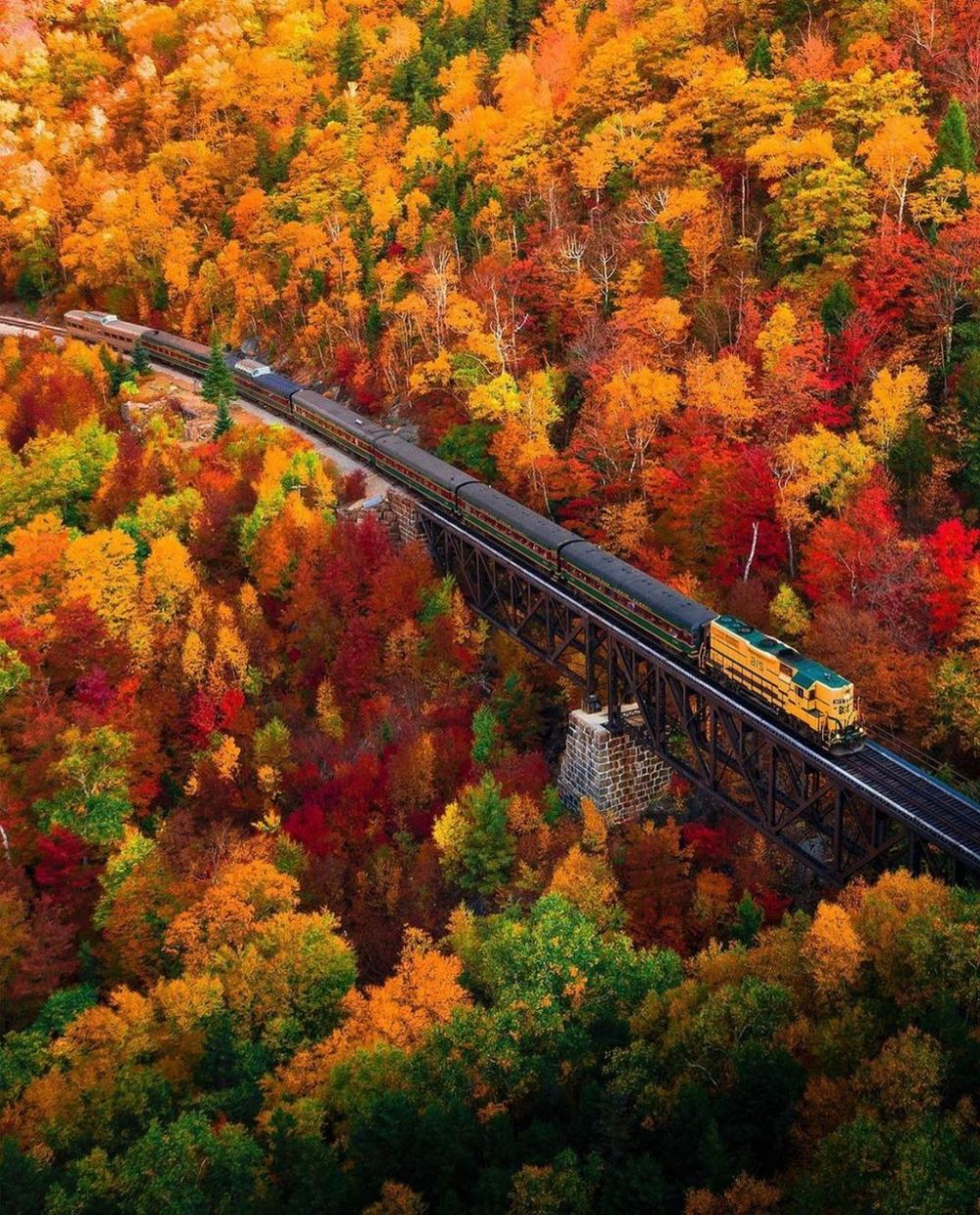 ngam cung duong cao toc phu kin rung cay la do tuyet dep o my