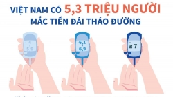 Infographics: Việt Nam có 5,3 triệu người mắc tiền đái tháo đường