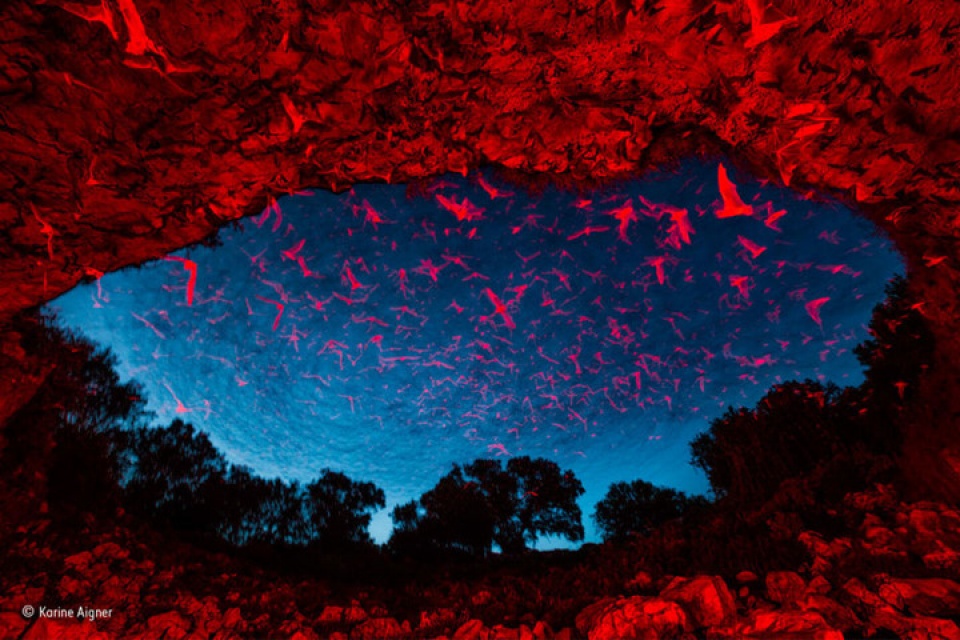 nhung de cu cuoc thi anh dep ve cuoc song hoang da cua nam