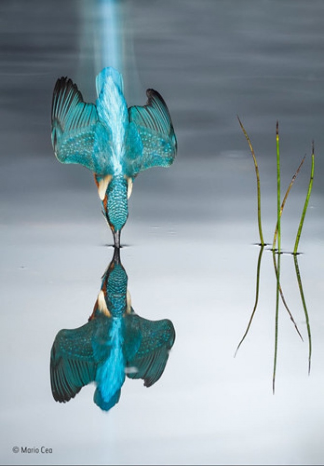 nhung de cu cuoc thi anh dep ve cuoc song hoang da cua nam